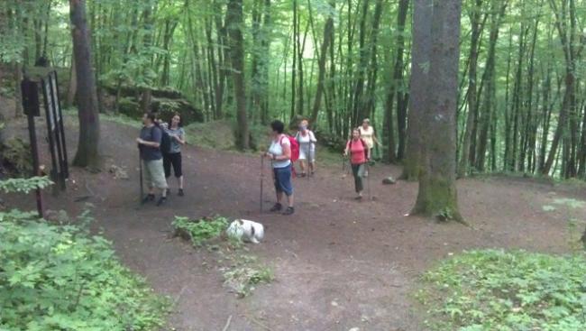 Tento výlet byl posledním před letními prázdninami, pokračovat se bude v tradici NW vycházek v září! 