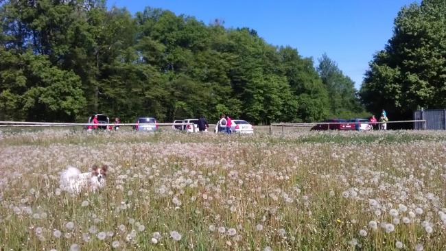 Meteorologické předpovědě se nepotvrdily, počasí nám přálo. Kdo nepřišel - může litovat! Do Obory Holedná jsme vstoupili od staré dálnice u Žebětína.