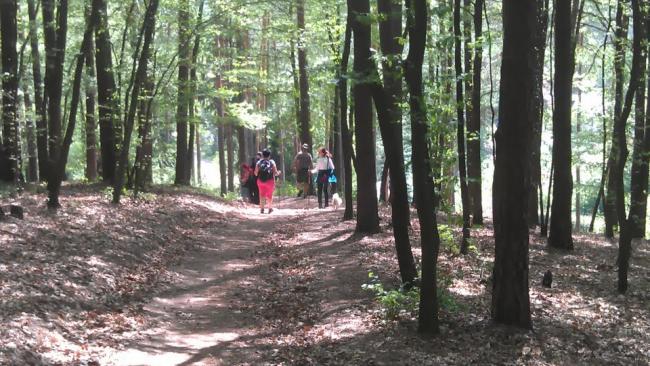 ...a lesním chodníčkem příjemně klesáme zpět k Mokré Hože, abychom odbočili pod železniční trať zpět k výchozímu bodu u OD Globus. Netrvalo to více než 3 hodiny. Zveme na další NW vycházku 1.7.12 !